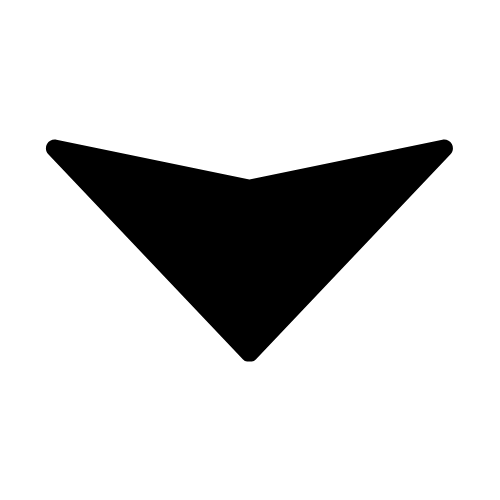icon chevron